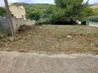 Limpieza parcelas y jardines