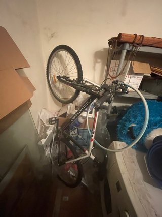 Bicicleta de Montaña