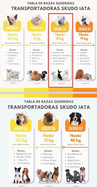 Transportín Perro