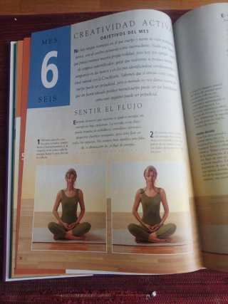 El yoga fácil un programa de yoga personal que ...