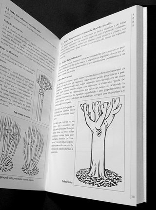JARDINERIA. XARDINERIA EN GALICIA. GUIA PRACTICA.