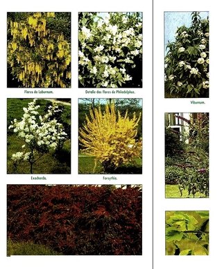 JARDINERIA. XARDINERIA EN GALICIA. GUIA PRACTICA.