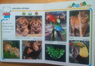 DICCIONARIO de los animales