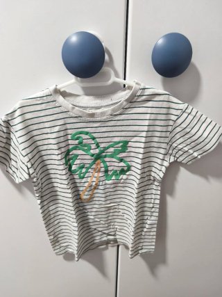 Lote 5 Camisetas Niño 3-4 Años