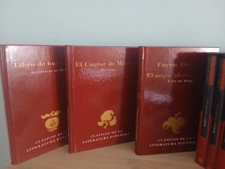 Lote de libros. Novela histórica y clásicos.