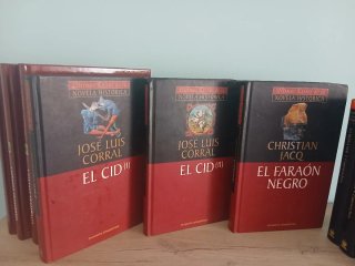 Lote de libros. Novela histórica y clásicos.