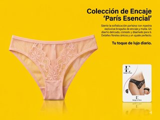 Lote 100 Bragas Mujer Colección Ropa Interior