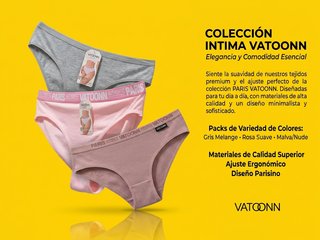 Lote 100 Bragas Mujer Colección Ropa Interior