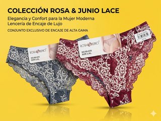 Lote 100 Bragas Mujer Colección Ropa Interior