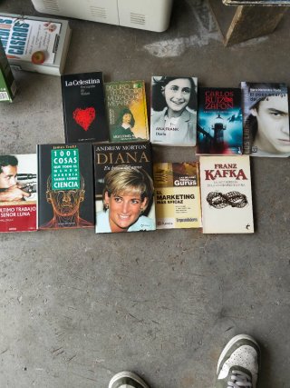 Lote de libros