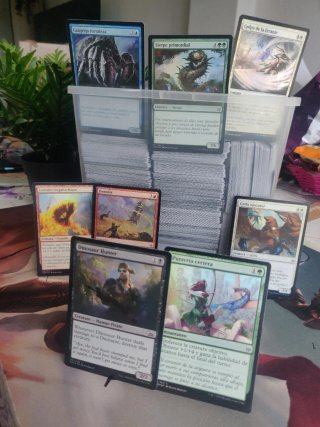 Lote Cartas Magic The Gathering