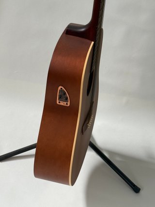 Seagull S12 Guitarra Acústica 12 Cuerdas
