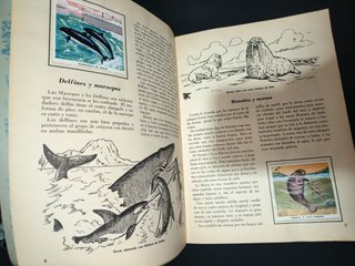 3 antiguos albumes cromos completos años 70 80