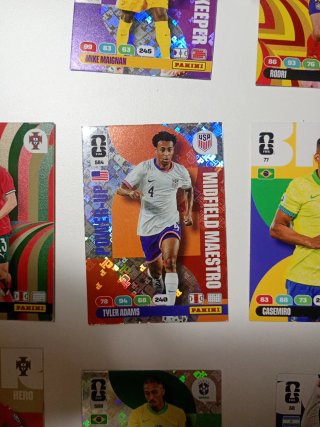 Cartas del Mundial Panini