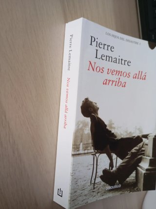 Nos vemos allá arriba (Los hijos del desastre 1)
