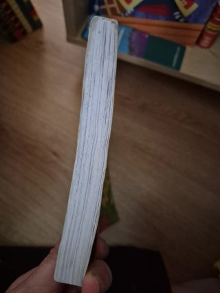 Agente Stitch 1. Un caso lleno de baba: Narrativa