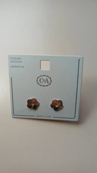 Pendientes Flor Plata Ley 925 C&A