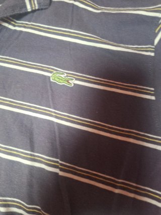 Polo Lacoste Rayas Azul y Blanco