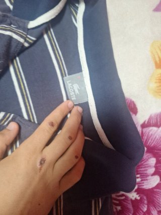 Polo Lacoste Rayas Azul y Blanco