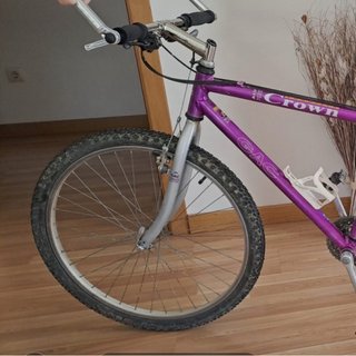 Bicicleta de montaña plateada