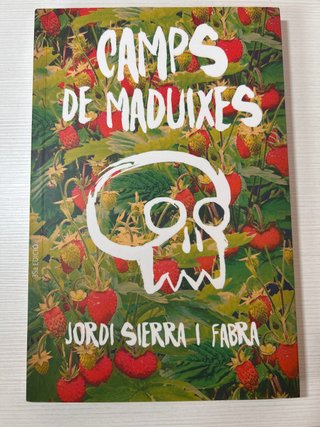 Camps de maduixes