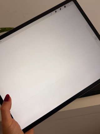 iPad Pro 12,9” 512GB + Apple Pencil 2 + funda