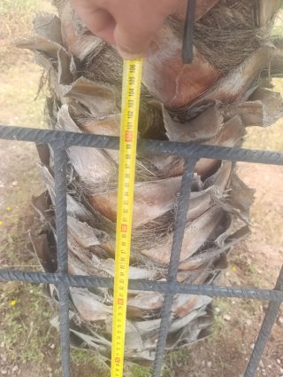Reja de Hierro para Ventana