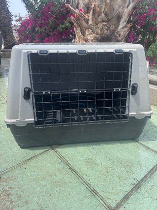 Transportín perro grande