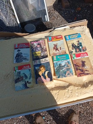 Novelas del oeste antiguas