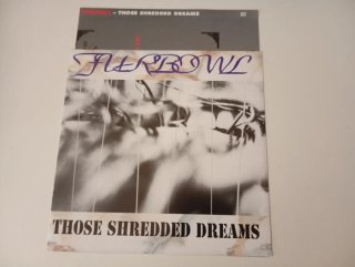 CD Punk Rock Those Shredded Dreams