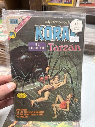 Lote 10 Números Korak novaro grandes