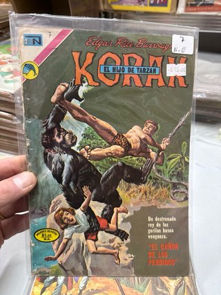 Lote 10 Números Korak novaro grandes