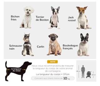 Cochecito para mascotas con capota