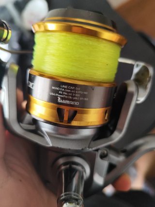 Carrete Shimano Sedona 6000