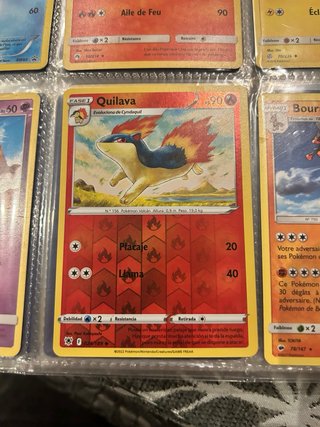 Lote Cartas Pokémon Francesas - Evoluciones Eevee