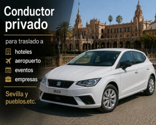 Alquiler coche con conductor