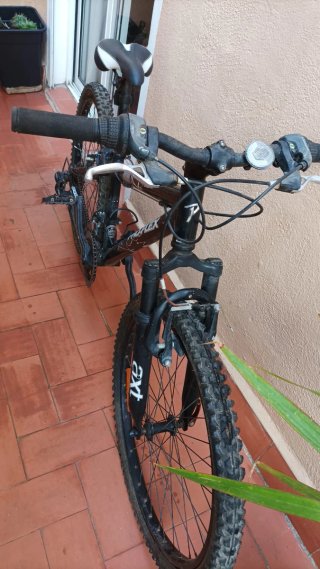 Bicicleta de montaña PRO FLEX