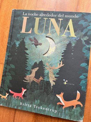 Libro Abeja y Luna de Britta Treckentrup