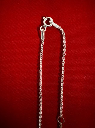 Cadena de plata 925 con medalla