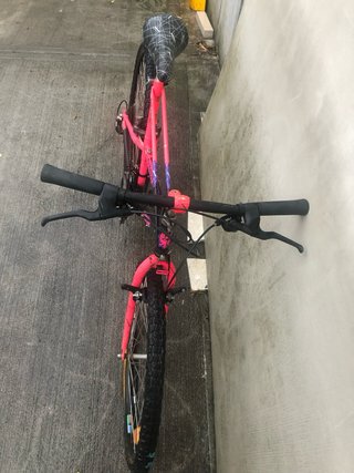2MTB Bianchi Thomisus anni '90 originali conservat