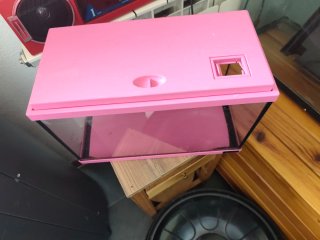 Acuario pecera rosa y transparente
