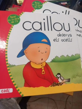 Pack de 10 libros Caillou catalán