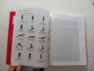 Secuencias de Yoga