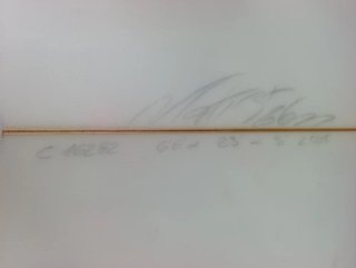 Tabla de surf Lost