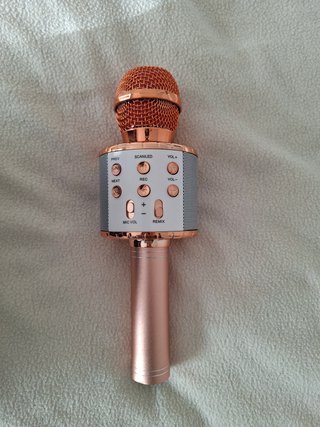 Micrófono Karaoke USB Rosa Dorado