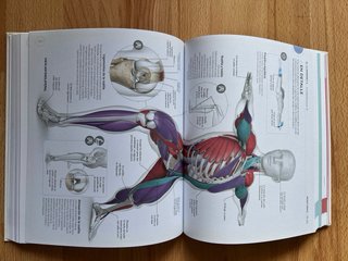 Anatomia del Yoga - Un estudio fisiológico postura