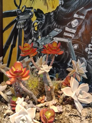 Plantas Torrent