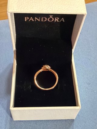 Anillo Pandora Lazo Oro Rosa