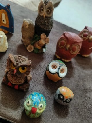 Collezione di 12 gufi decorativi