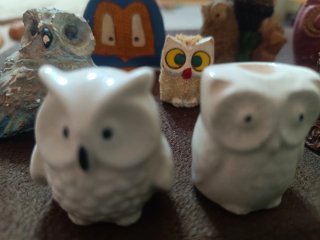 Collezione di 12 gufi decorativi